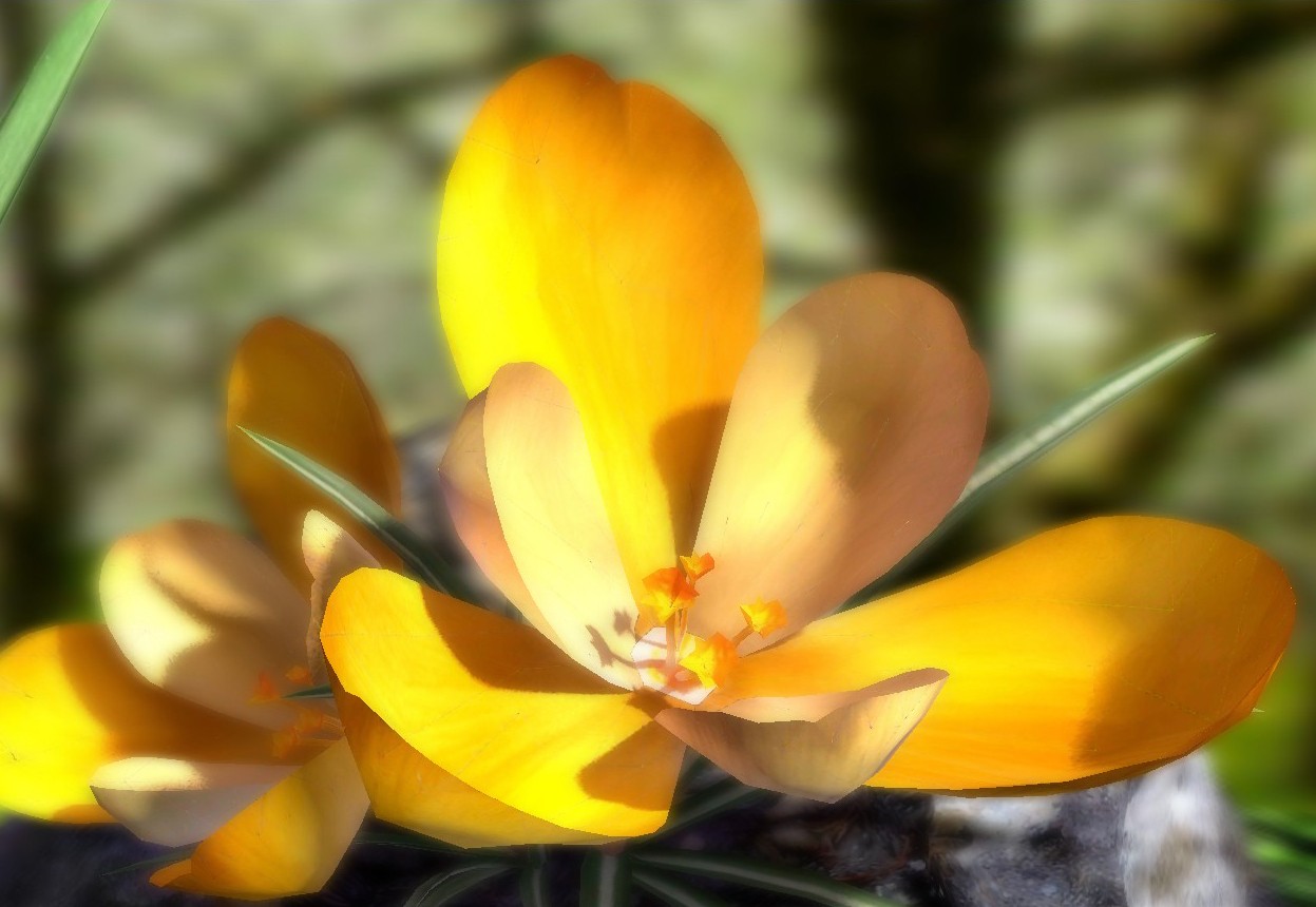 Nature Live: Spring Flowers XL скачать